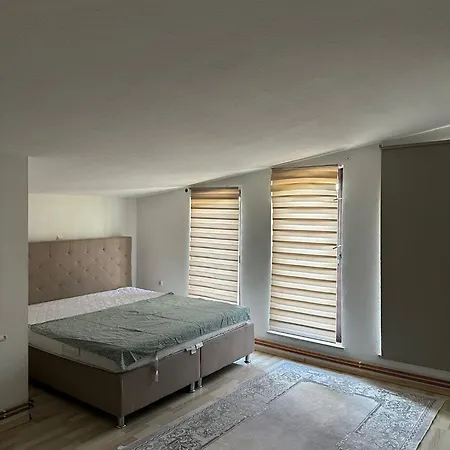 Mina Villa *